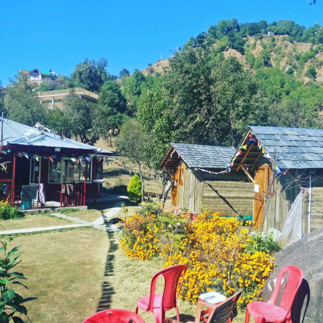 Dharamshala Base Camp