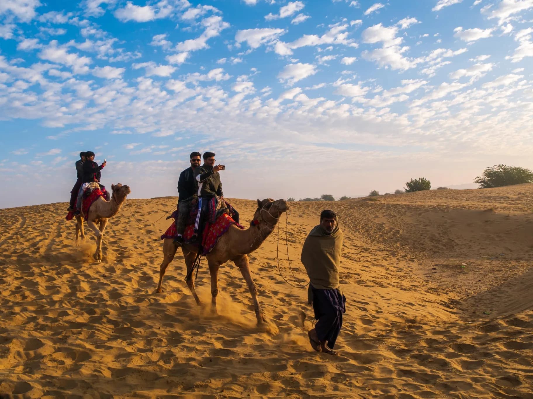 Camel Safari (Jaisalmer)