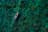 1753303056_6881481035471.webp