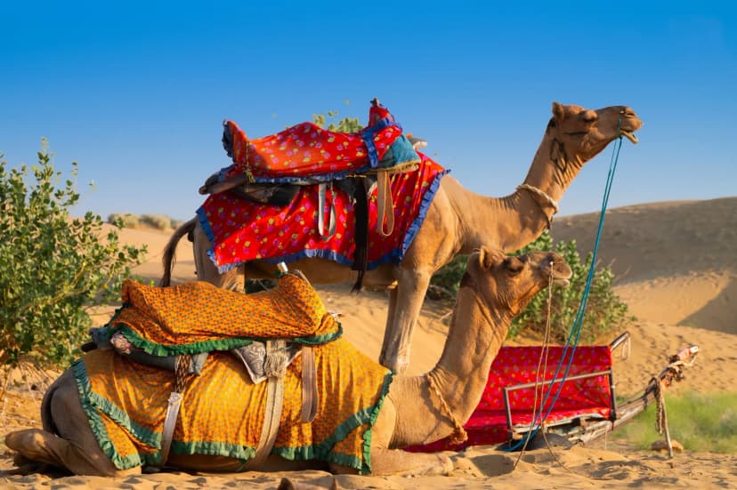 Ahmedabad - Jaisalmer - Amritsar - Dharamshala - Manali - Rishikesh - Delhi - Agra