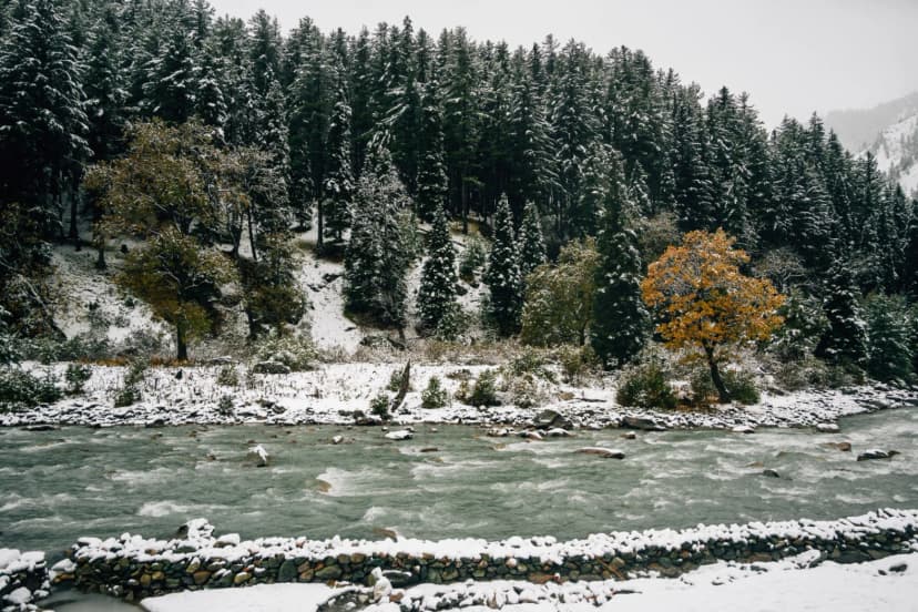 Ahmedabad - Jaisalmer - Delhi - Kashmir (5) - Amritsar - Agra